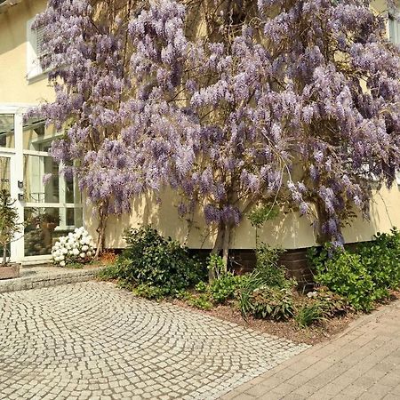 Pension Franzbaecker Warburg Eksteriør bilde
